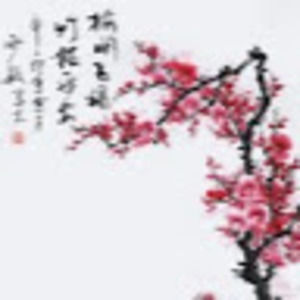 Meet your Posher, Arnas